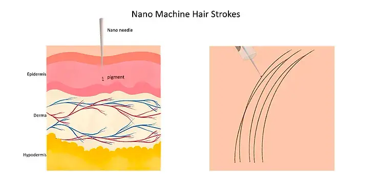 Nano machine hair stroke diagram showing pigment placement with a fine needle to create natural-looking eyebrow hair strokes